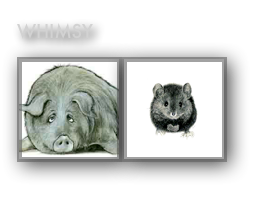 Whimsy
￼￼